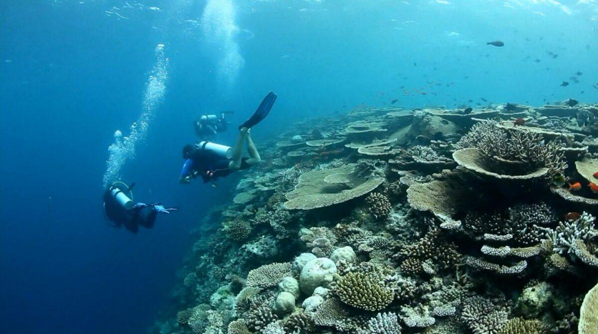 Gili Lankanfushi