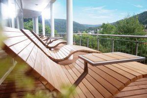 Schwarzwald Panorama Eco-Hotel