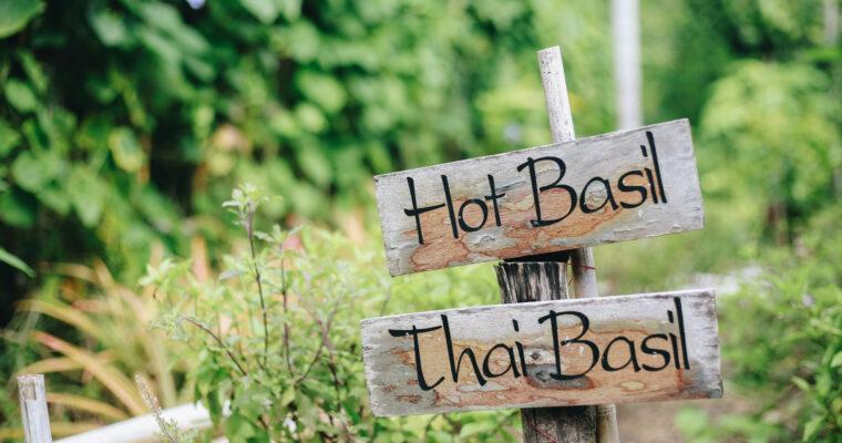 DIY Plant Labels