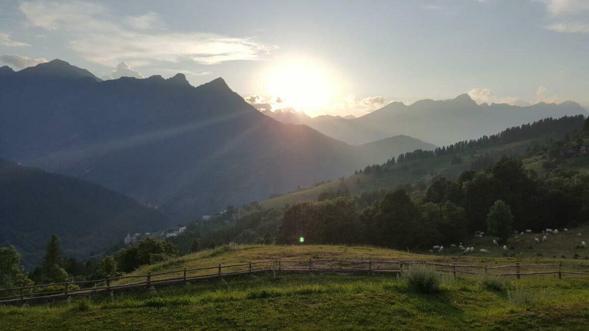 A COMEBACK OF THE OCCITAN CULTURE IN PIEDMONT