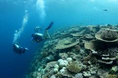 © Gili Lankanfushi