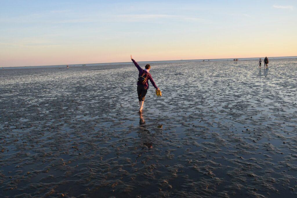Hiking in the Wadden Sea